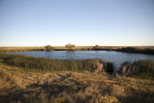 USA-Colorado-Chico Cattle Ranch